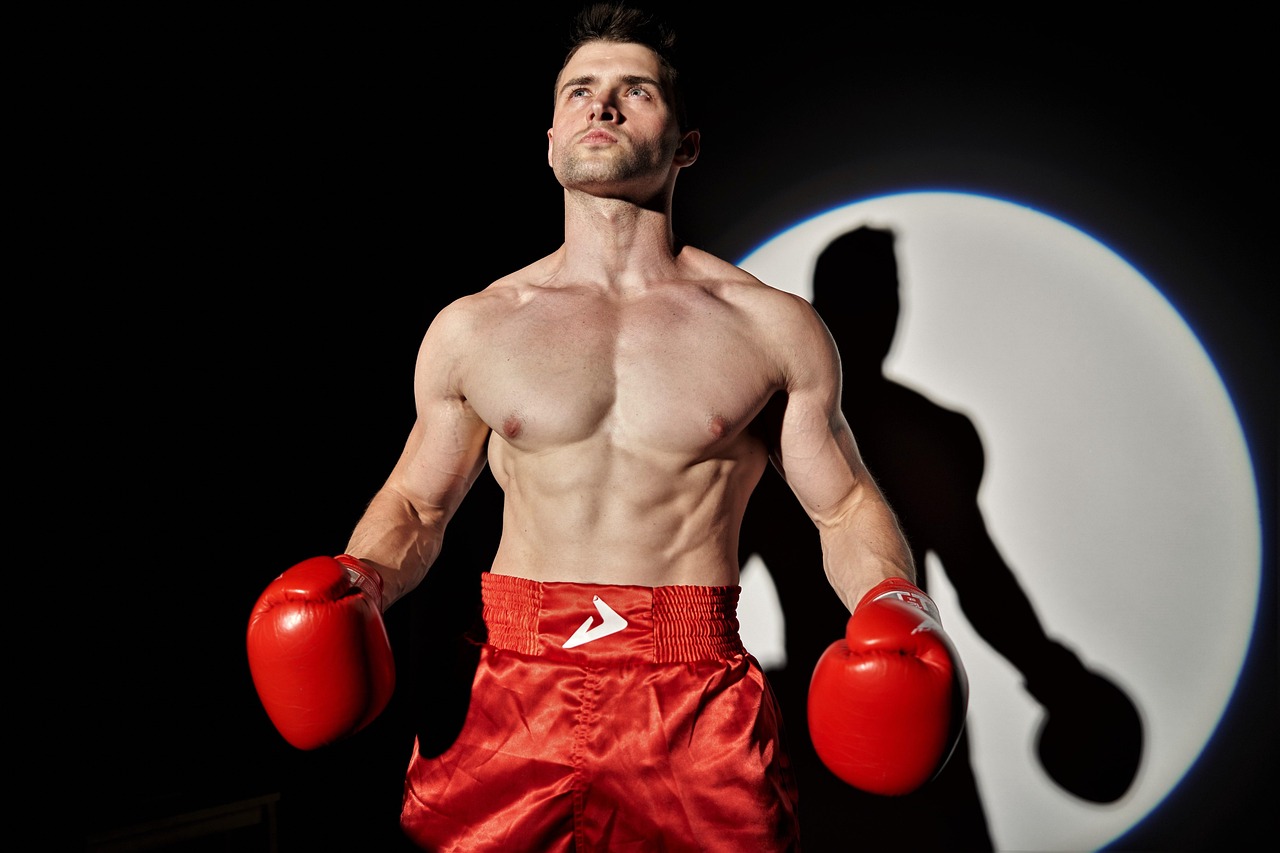 boxing, sport, man, muscle, fight, model, sports, boxer, the fight, kickboxing, gloves, sportsman, photosession, human, boxer, boxer, boxer, boxer, boxer